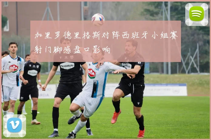加里罗德里格斯对阵西班牙小组赛射门脚感盘口影响