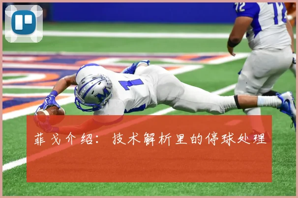 菲戈介绍：技术解析里的停球处理