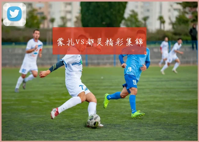 蒙扎vs都灵精彩集锦