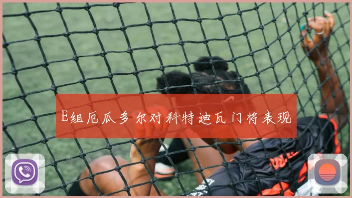 E组厄瓜多尔对科特迪瓦门将表现