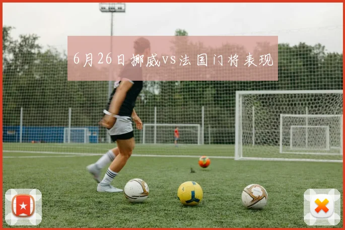 6月26日挪威vs法国门将表现